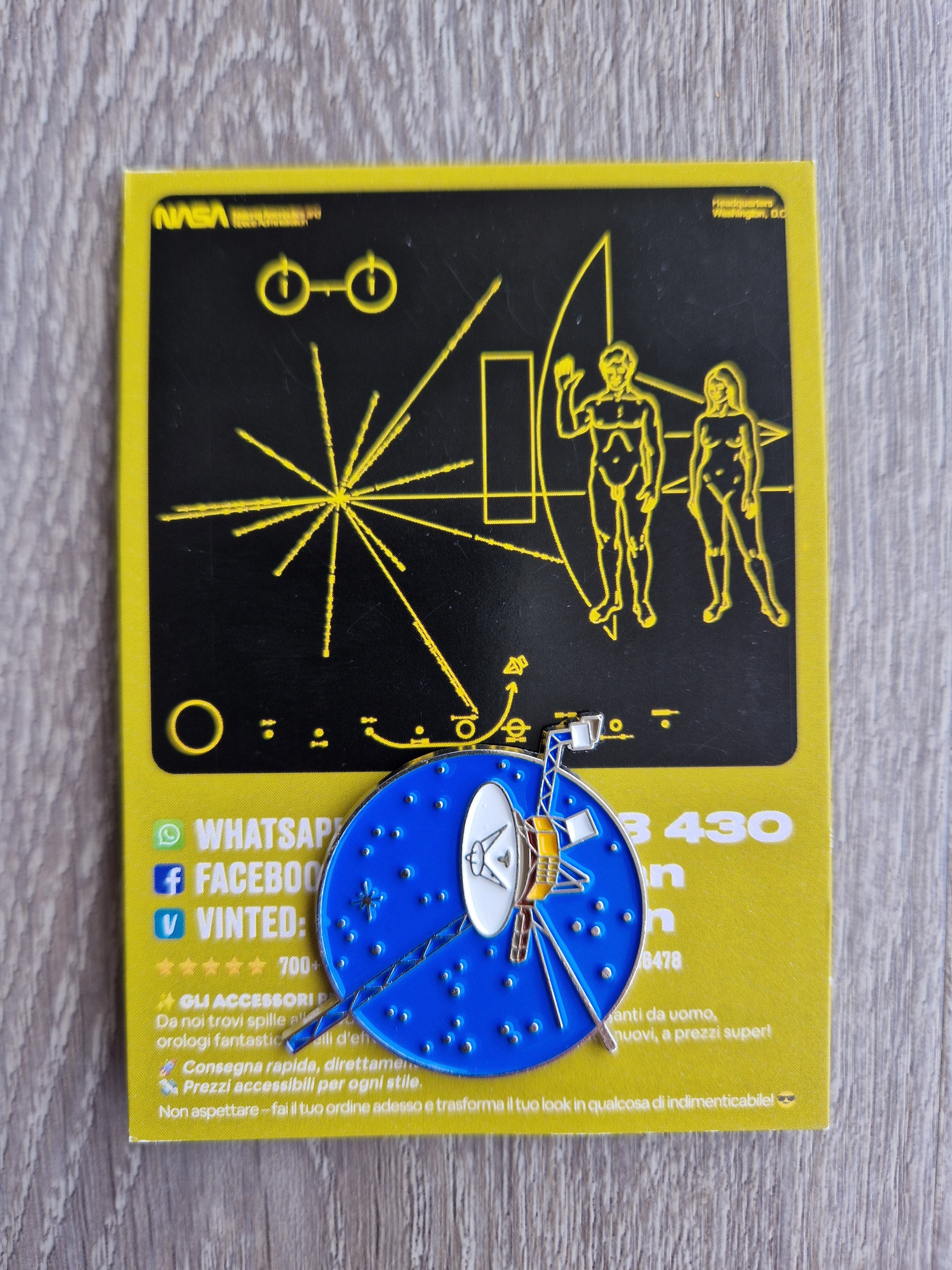 Spilla e Card Voyager Golden Record