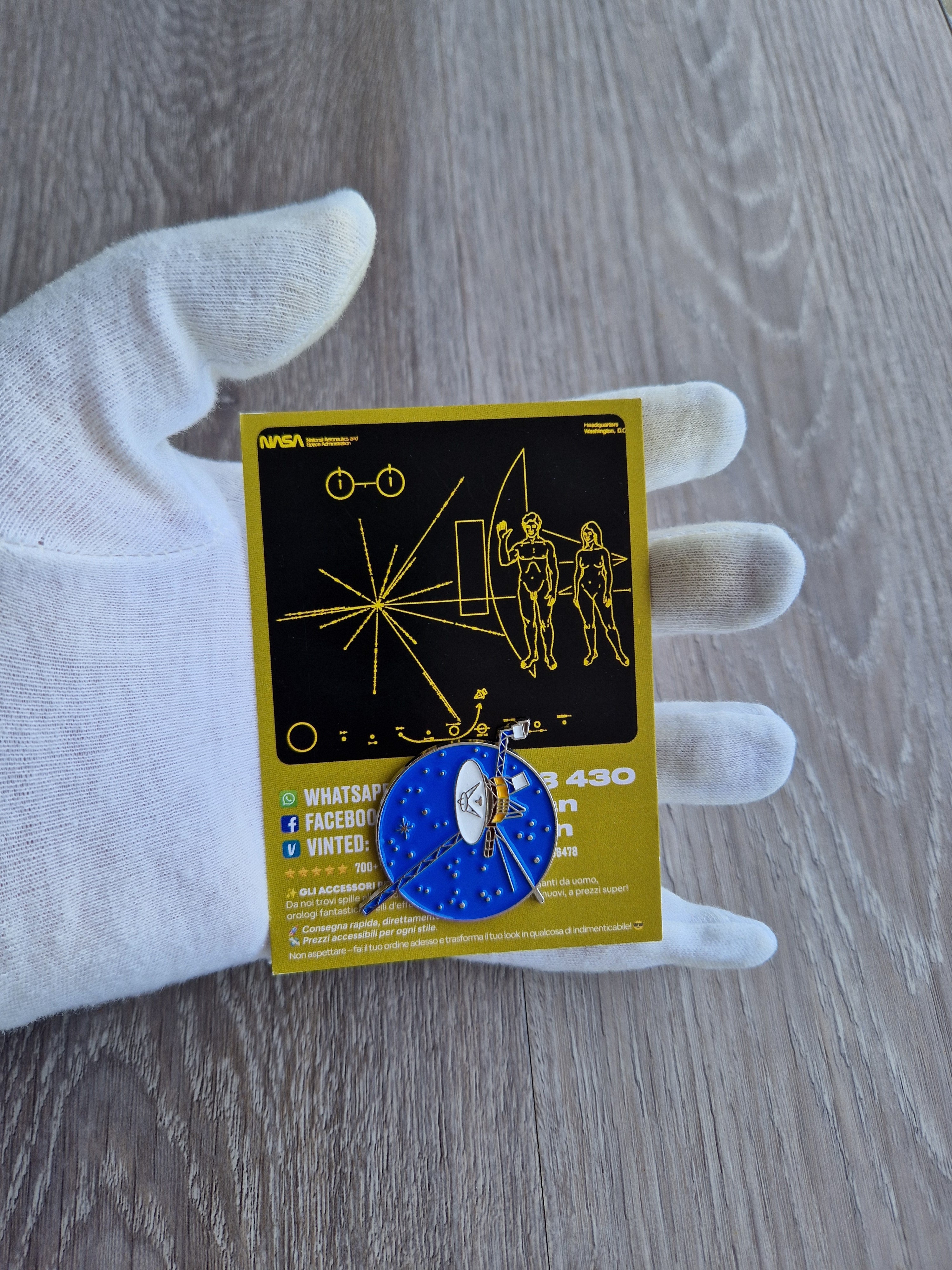 Spilla e Card Voyager Golden Record