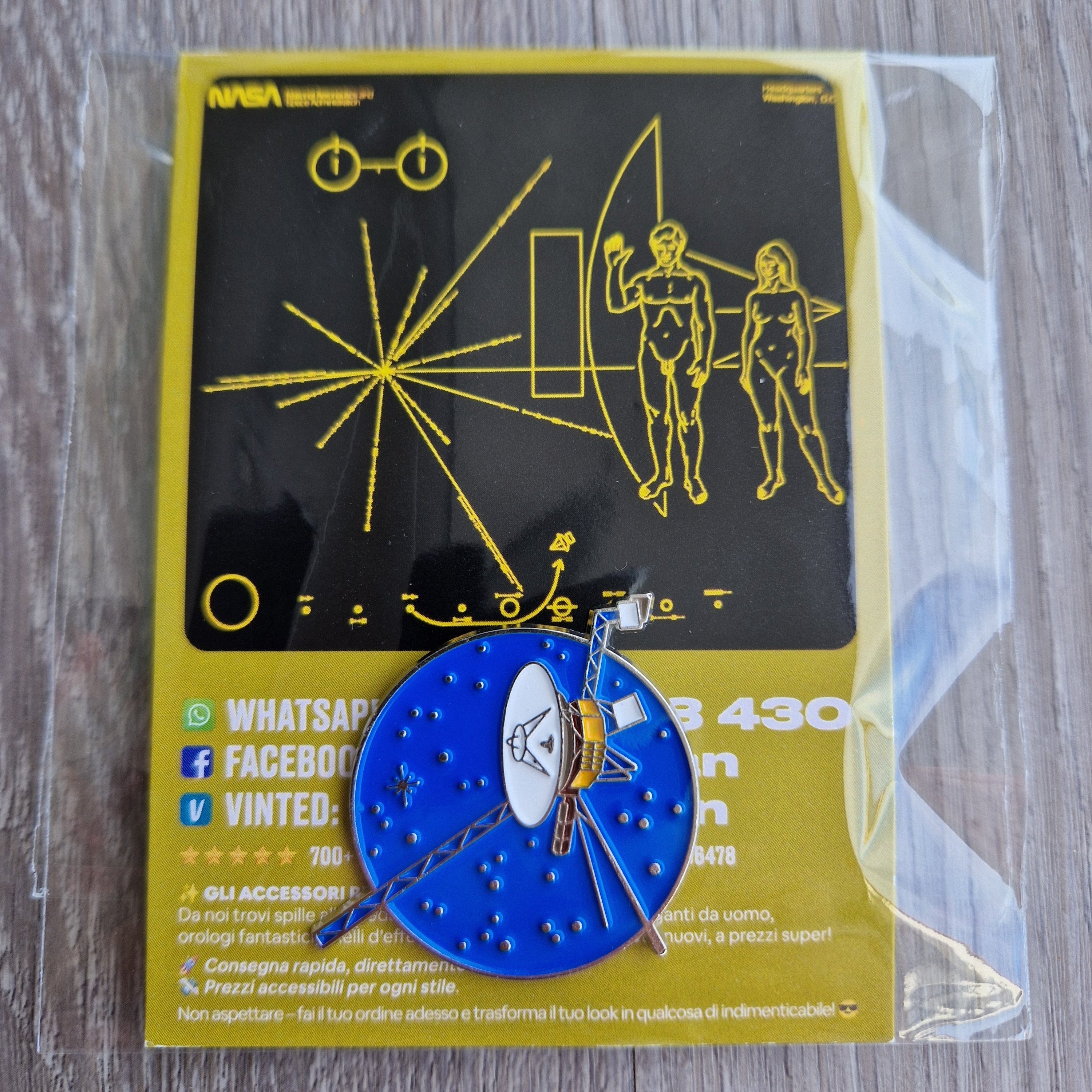 Spilla e Card Voyager Golden Record