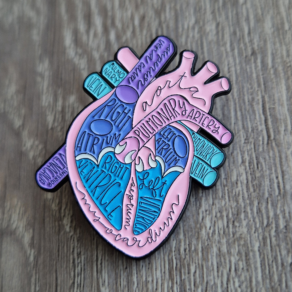 Spilla Cuore Anatomico Labeled