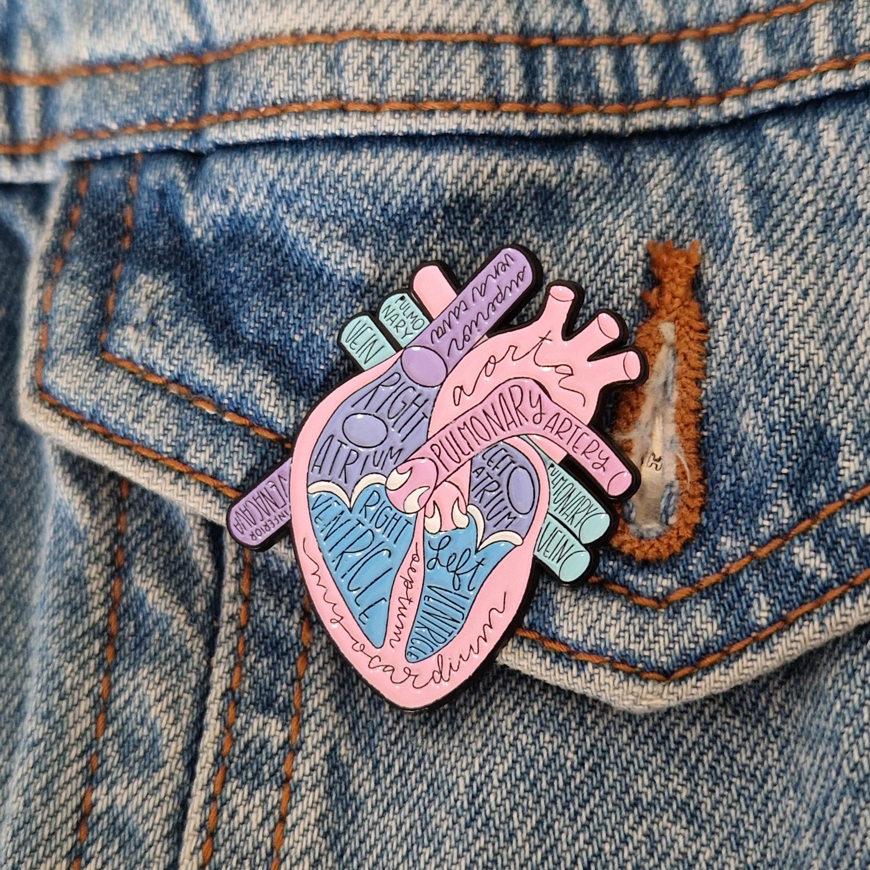 Spilla Cuore Anatomico Labeled