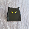 Spilla Smaltata Gatto Nero Spettinato
